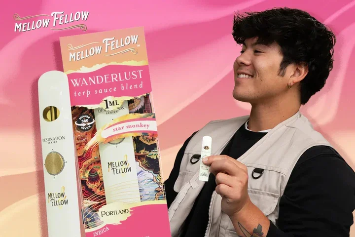 Mellow Fellow Destination Series guide