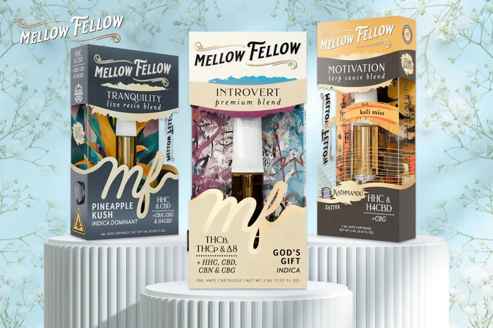 Mellow Fellow pricing and discount codes guide